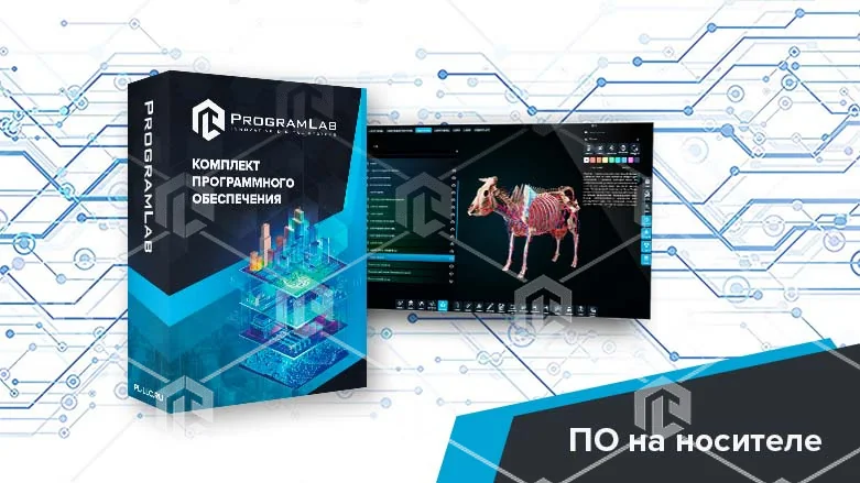 Атлас анатомии КРС