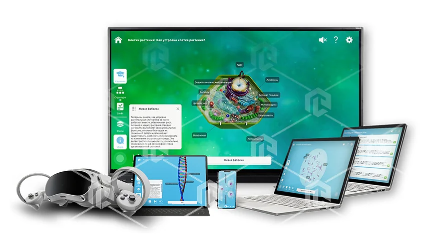 3D пособие Познание Генетика