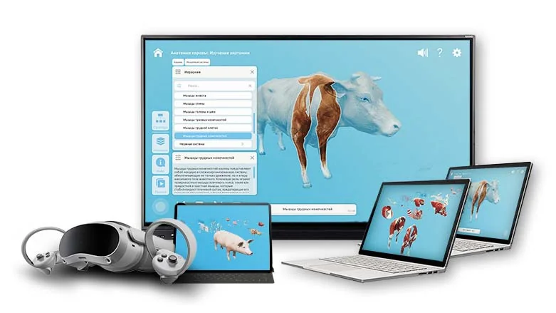 3D пособие Познание Животные