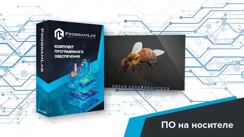 Программный комплекс классификация пчёл